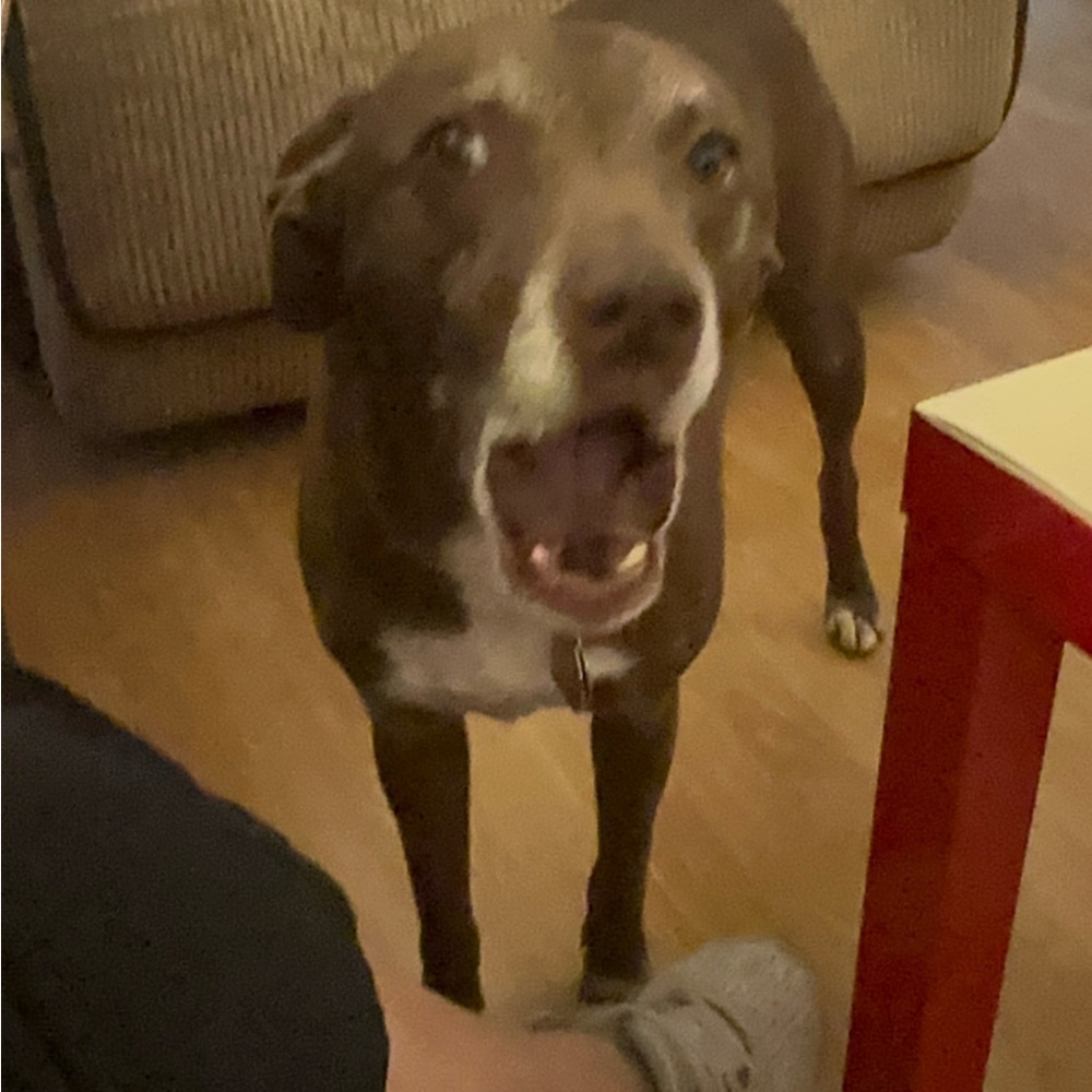 LAST CALL FOR ITEMS IN MY CLOSET! CLOSE-OUT SALE!